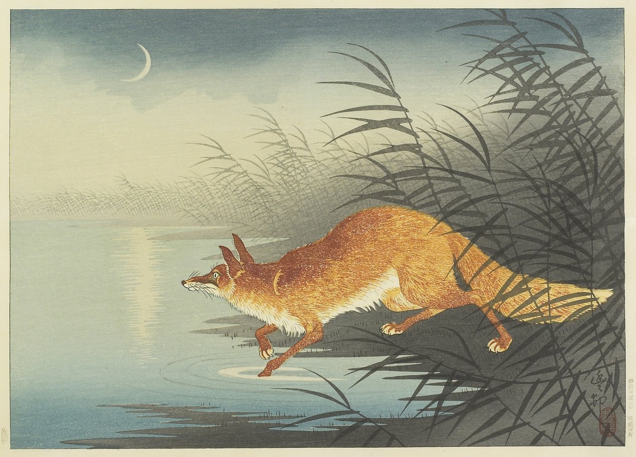 Fox by the Moonlit Water, 1930-tal (trätryck i färg) av Ohara Koson