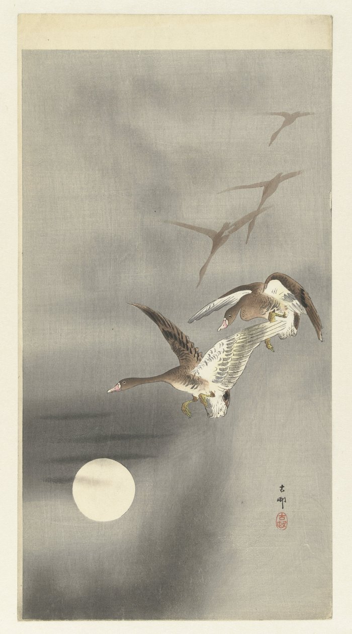 Gäss i flykt av Ohara Koson