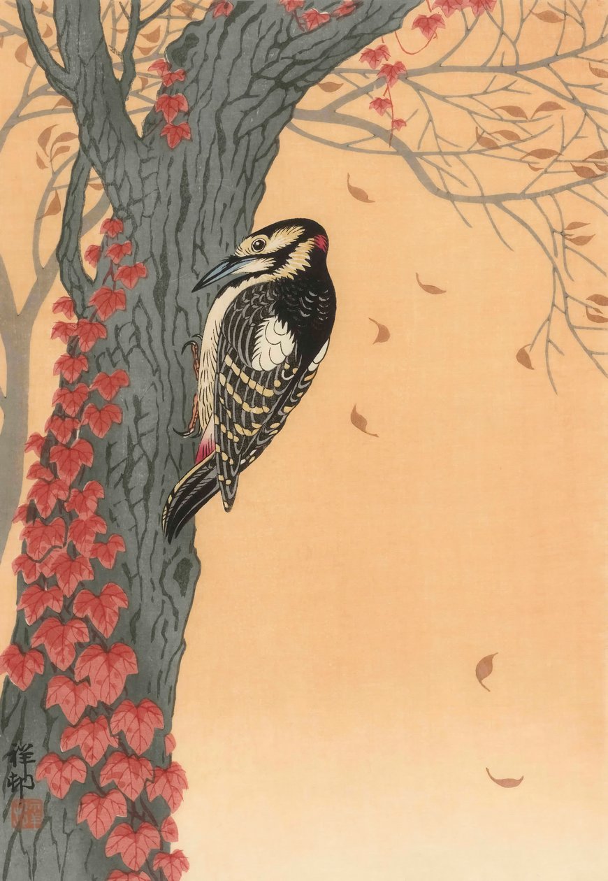 Stor hackspett i träd med röd murgröna, 1900-talet (japanskt tryck) av Ohara Koson