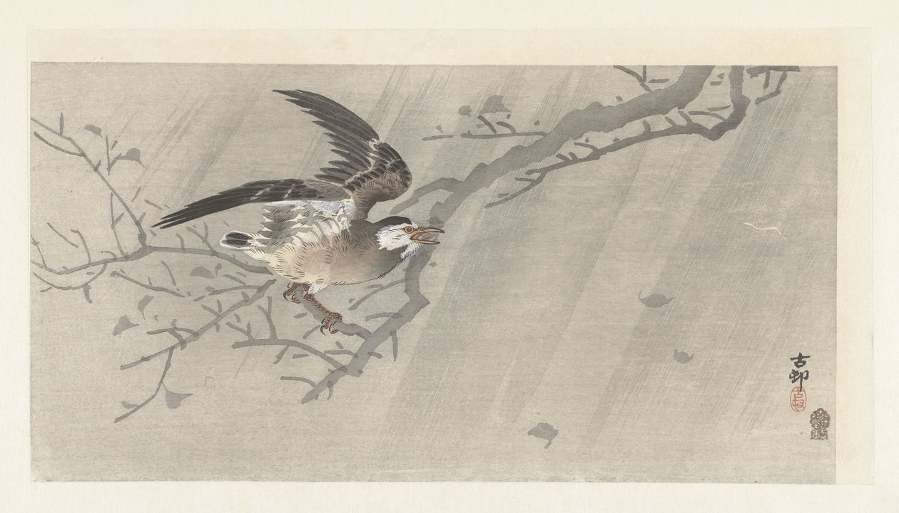 Grå stare i storm av Ohara Koson