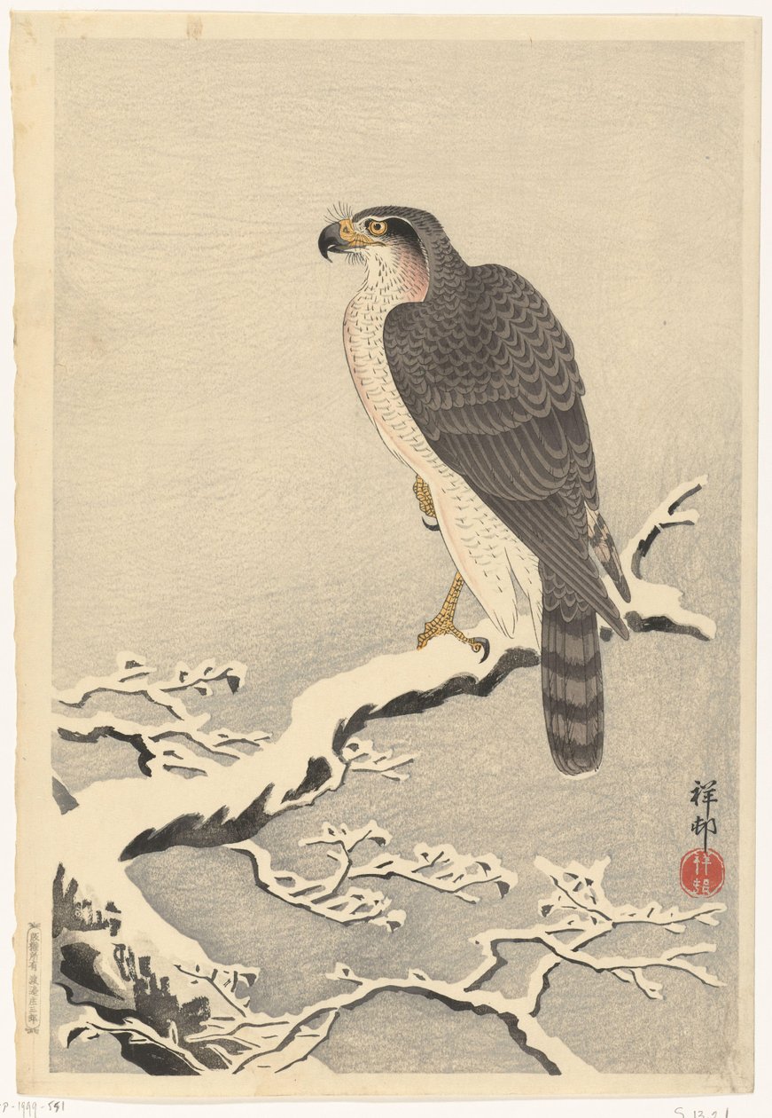 Hök på snöig gren av tall av Ohara Koson