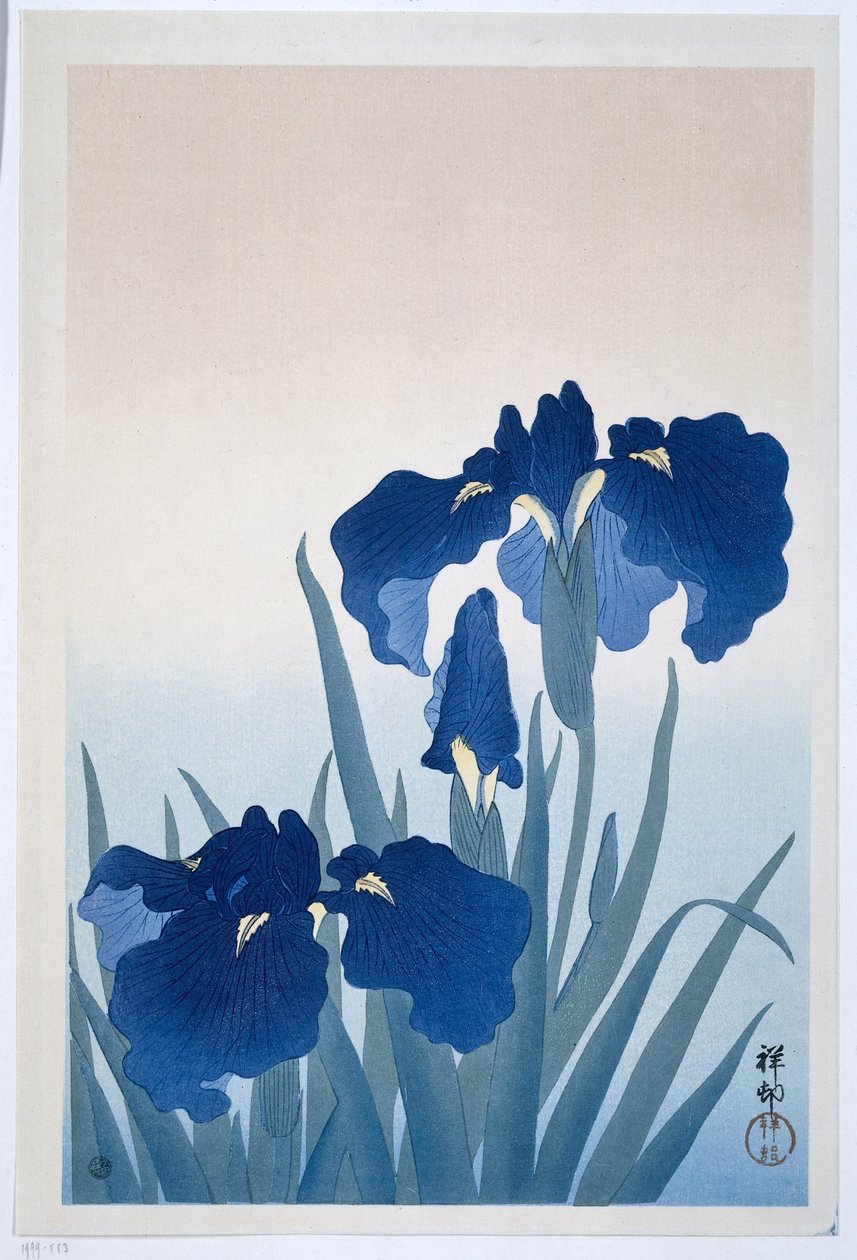 Iris av Ohara Koson