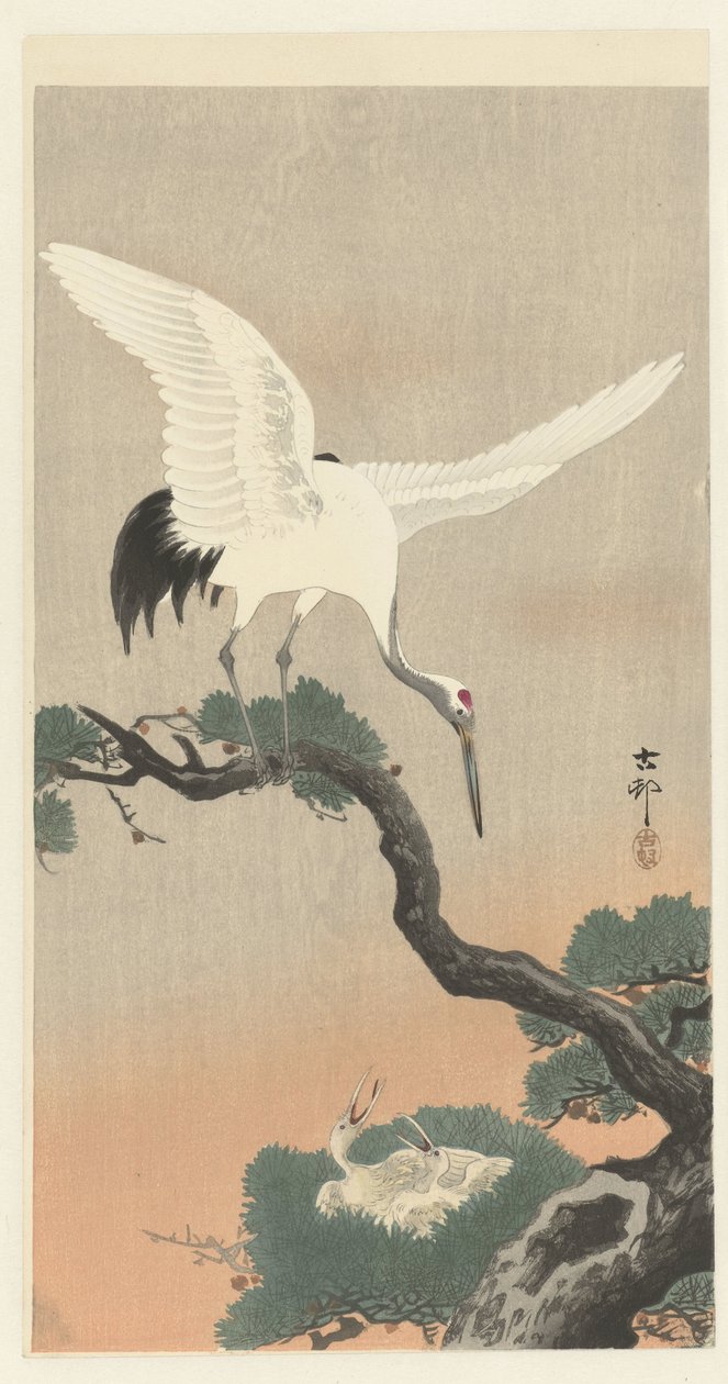Japansk kran på gren av tall av Ohara Koson
