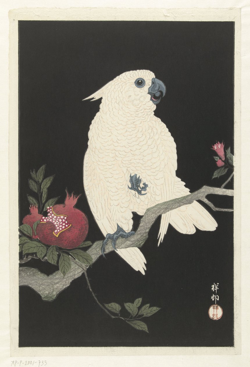 Kakadua och granatäpple av Ohara Koson