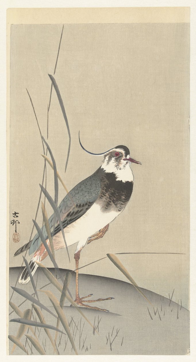 Vipa och vass av Ohara Koson