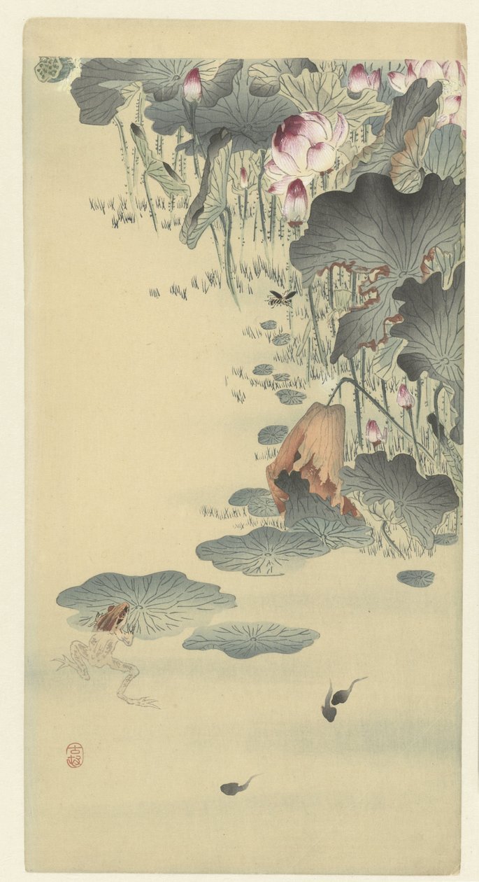 Groda och grodyngel av Ohara Koson