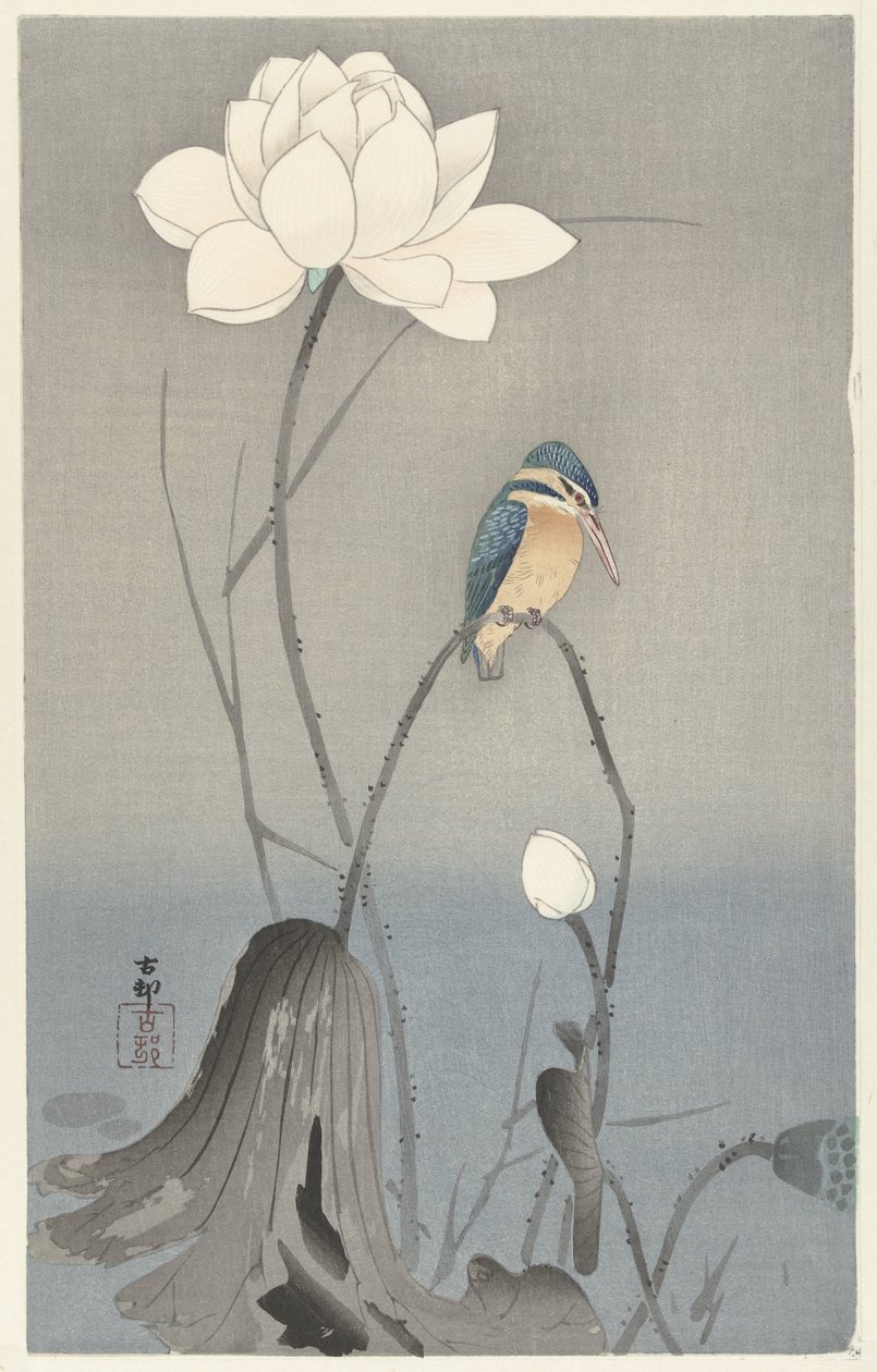 Kungsfiskare med lotusblomma av Ohara Koson