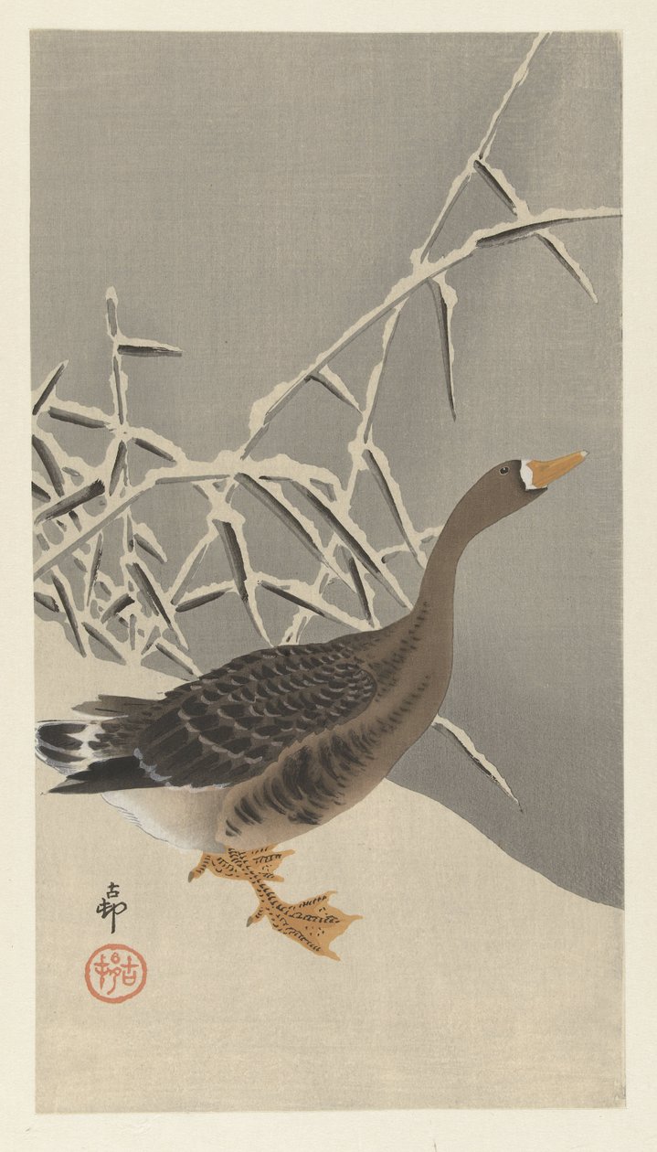 Vitgås i snön av Ohara Koson