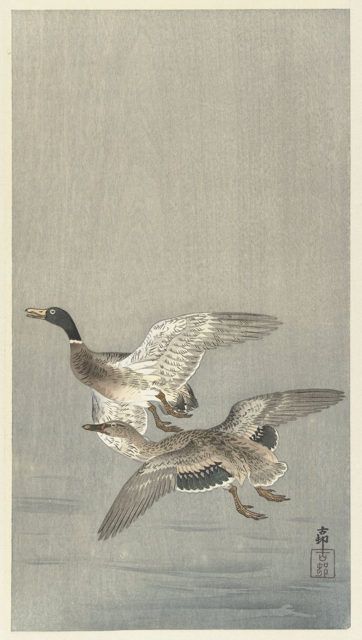 Para ankor av Ohara Koson