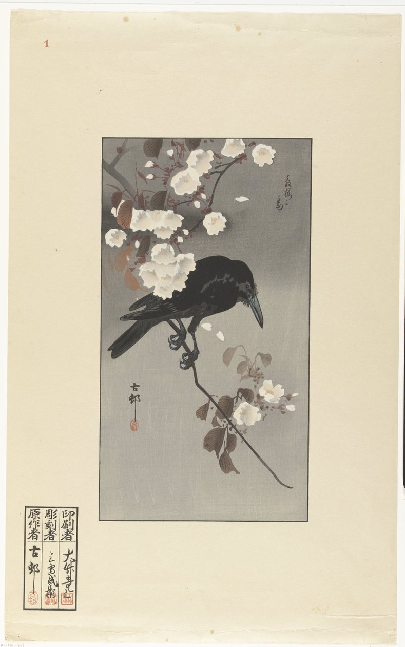 Kråka och körsbärsblom Hana sakura no tori (titel på objekt) av Ohara Koson