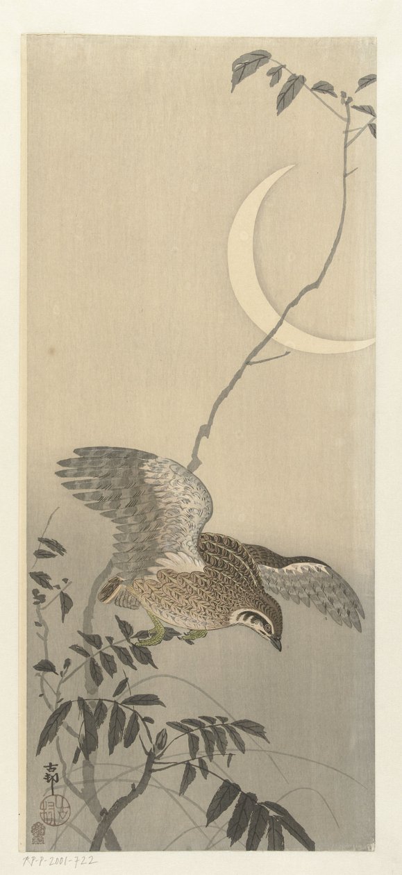 Vaktel vid sickle moon av Ohara Koson