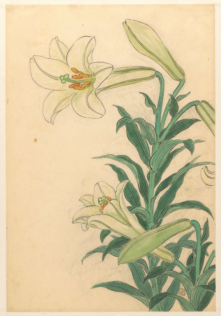 Liljor Teppoyuri av Ohara Koson