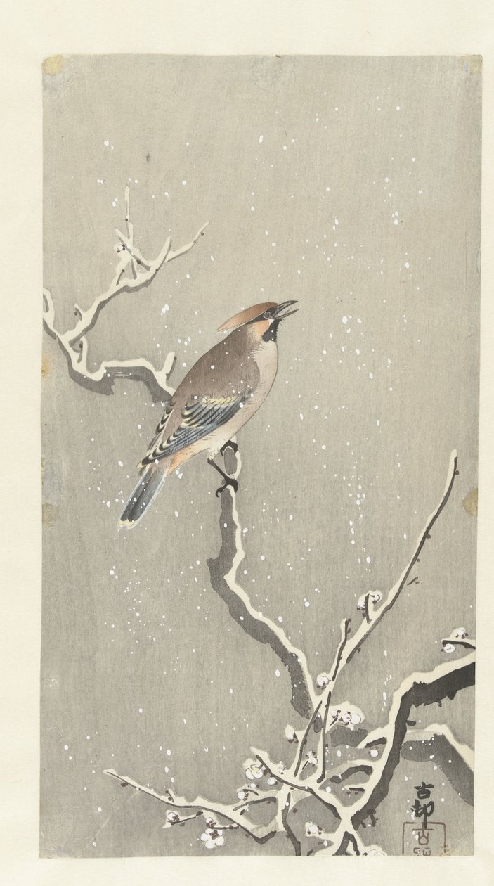 Vaxvinge på snöig gren av Ohara Koson