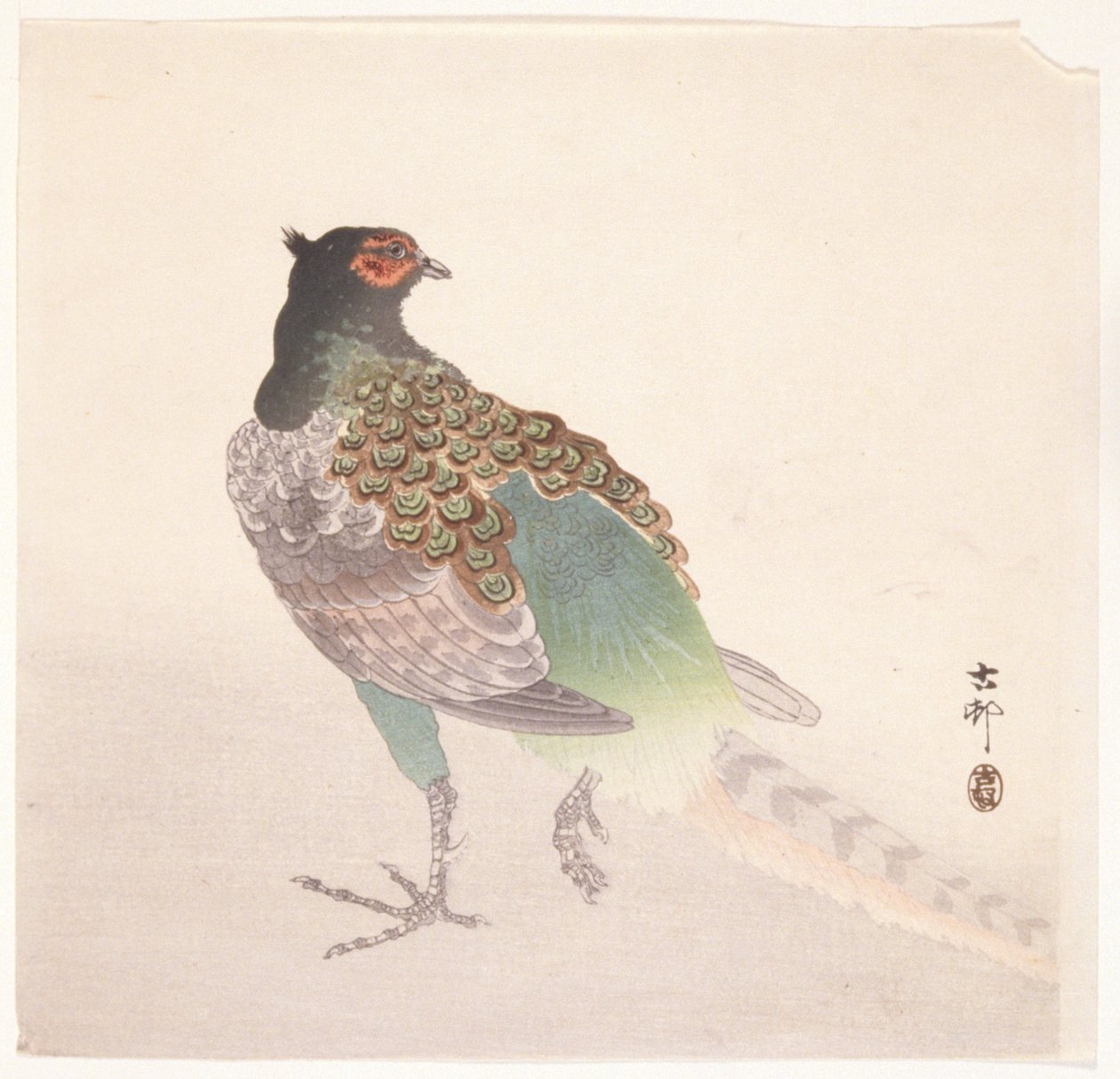 Fasan (träblock i färg) av Ohara Koson