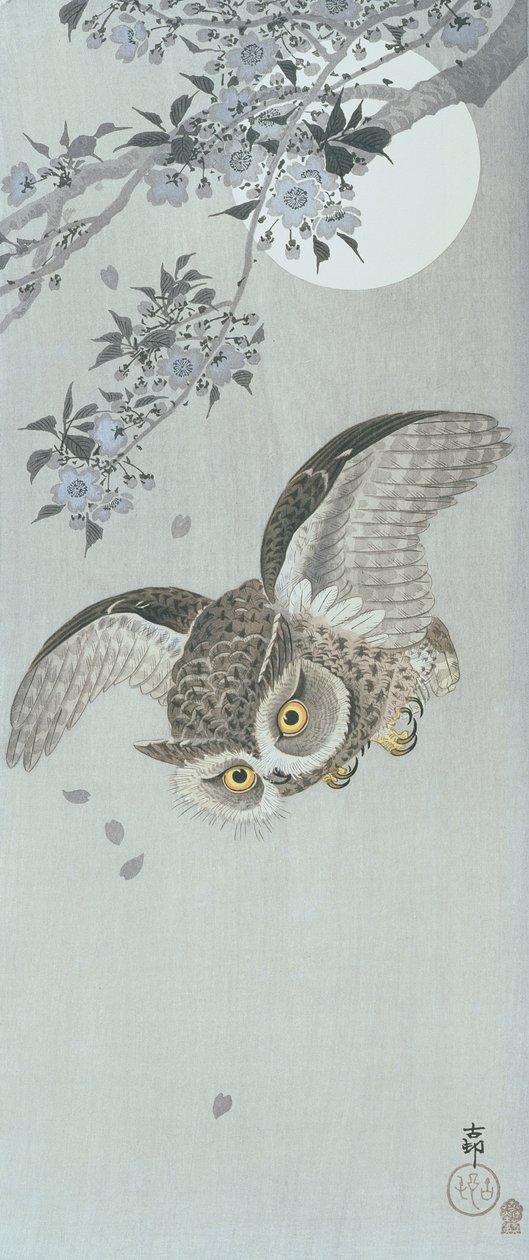 Skopa uggla under flygning med blomning och fullmåne (träblockstryck i färg) av Ohara Koson