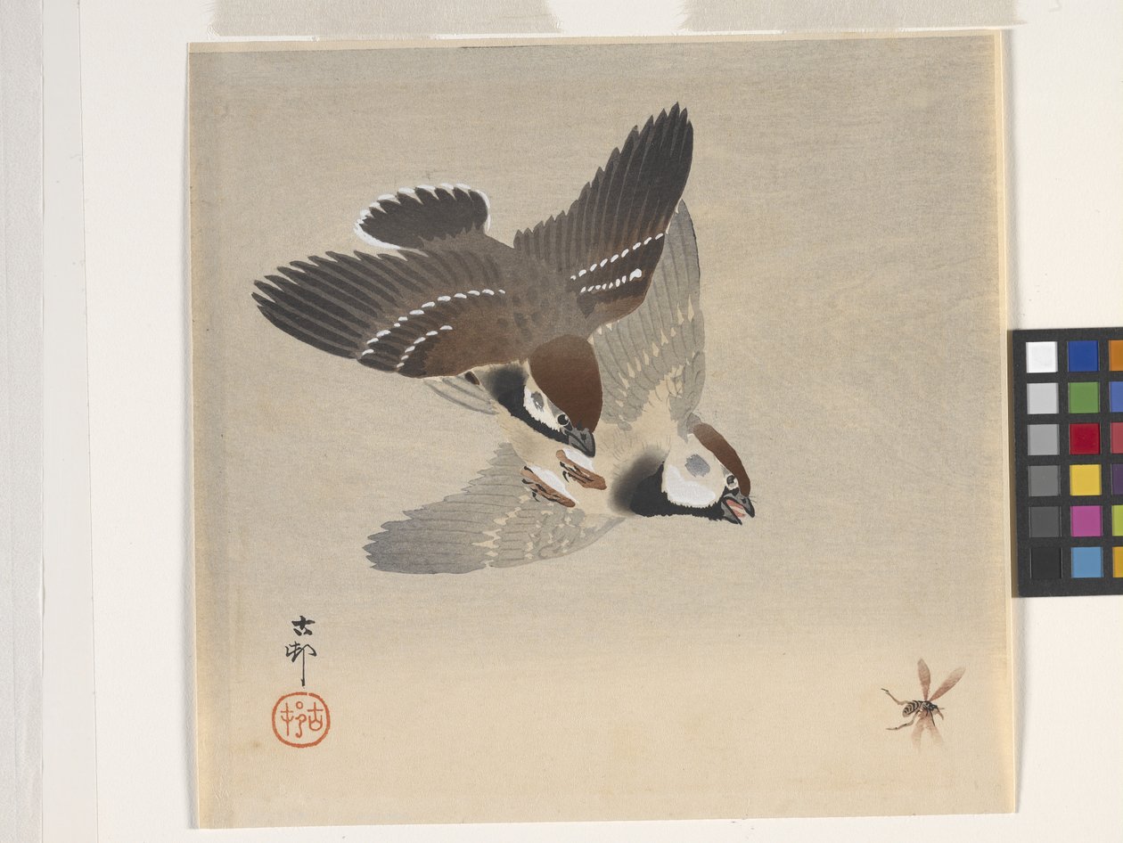 Sparrows Chasing Flying Insect (trätryck i färg) av Ohara Koson