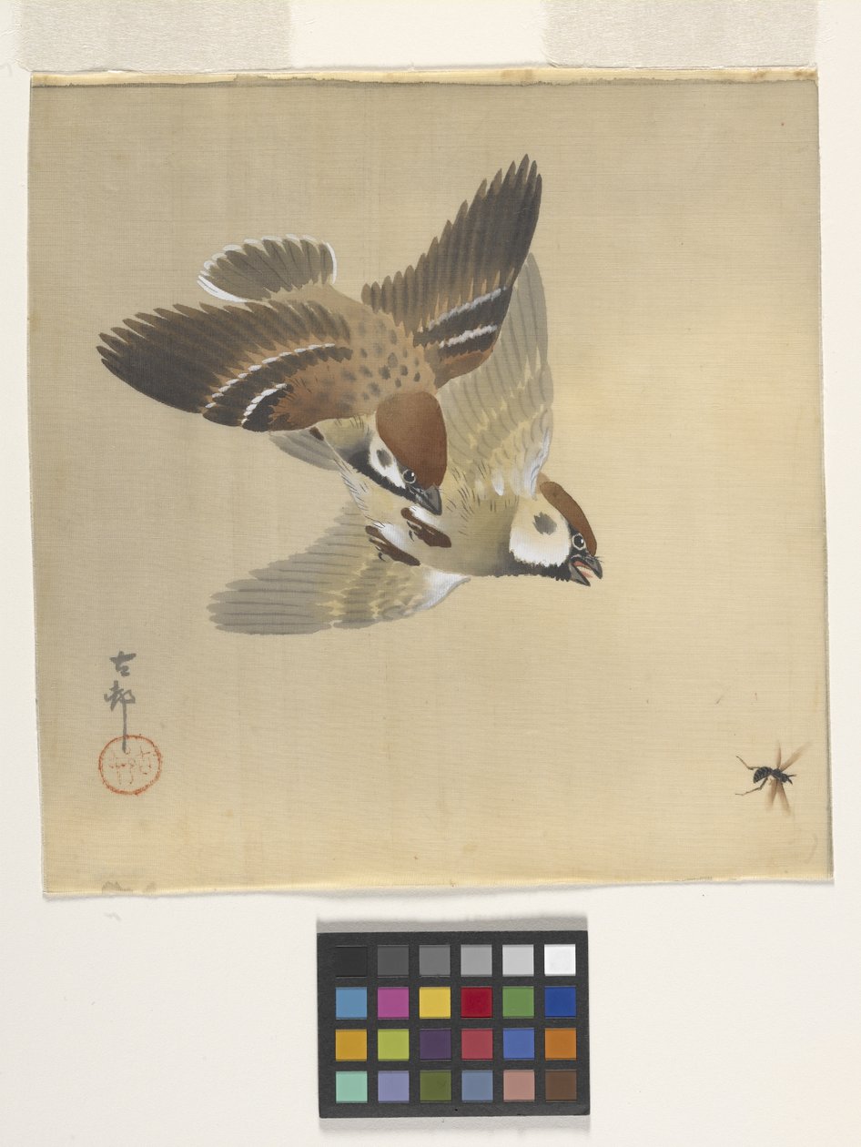 Sparvar som jagar flygande insekter (bläck och färg på siden) av Ohara Koson