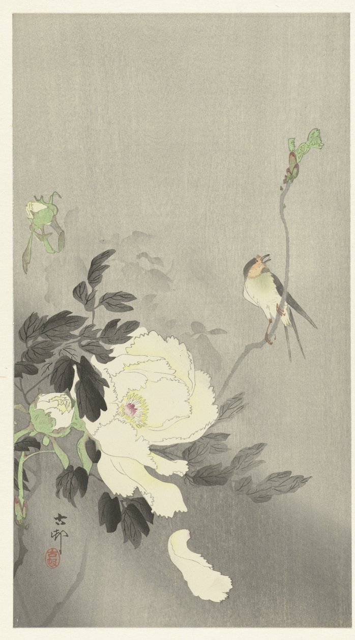 Svälja med pion av Ohara Koson