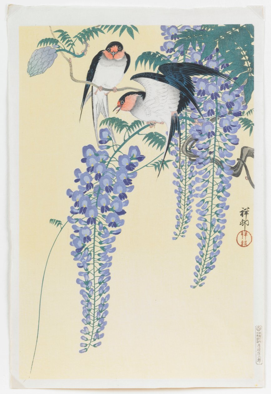 Svalor och blåregn av Ohara Koson