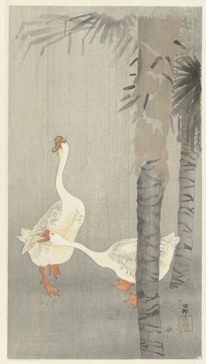 Tamme överallt i regn av Ohara Koson