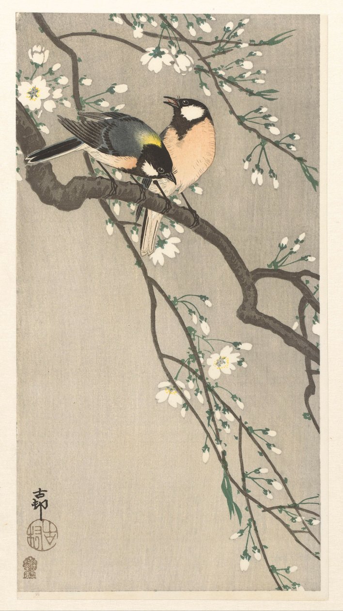 Bröstar på Cherry Branch av Ohara Koson