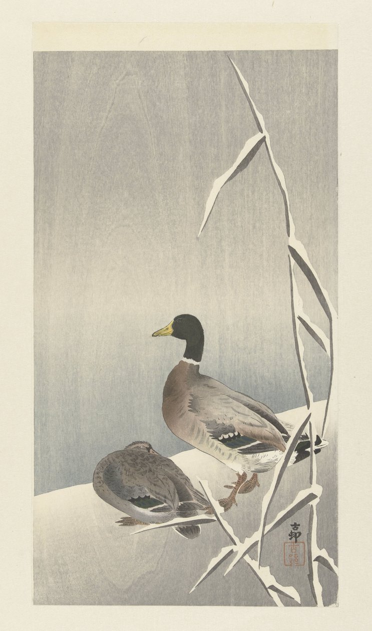 Två ankor på snöig vass över av Ohara Koson