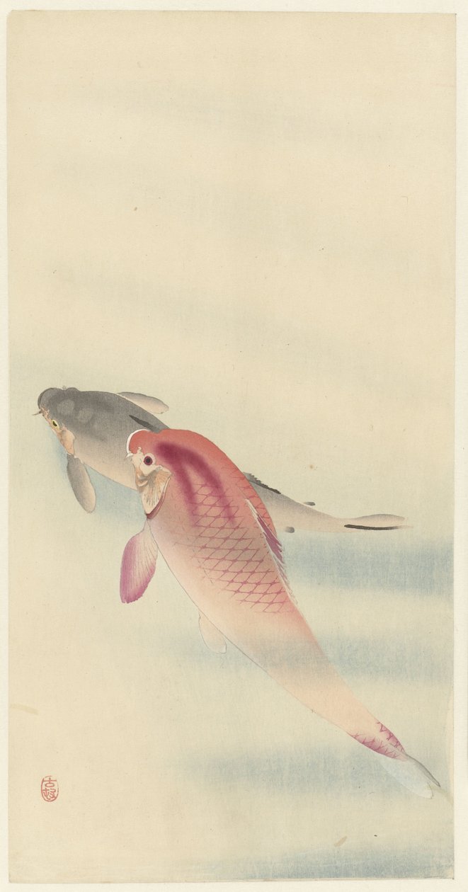 Två karpar av Ohara Koson