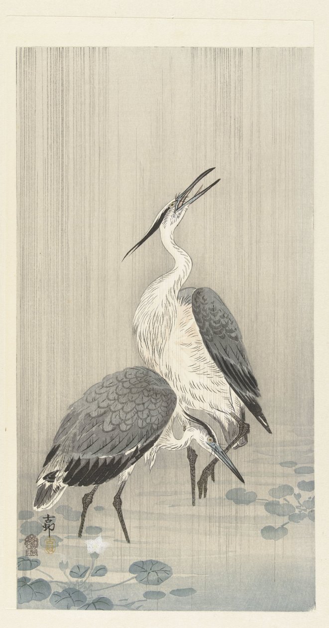 Två hägrar i regnet av Ohara Koson