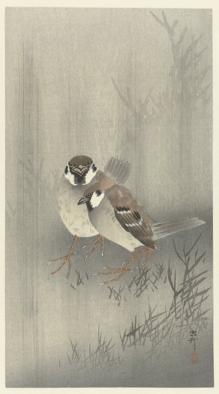 Två trädsparvar i regnet av Ohara Koson