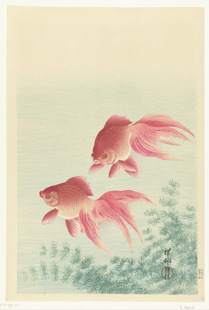 Två slöjsvans guldfiskar av Ohara Koson