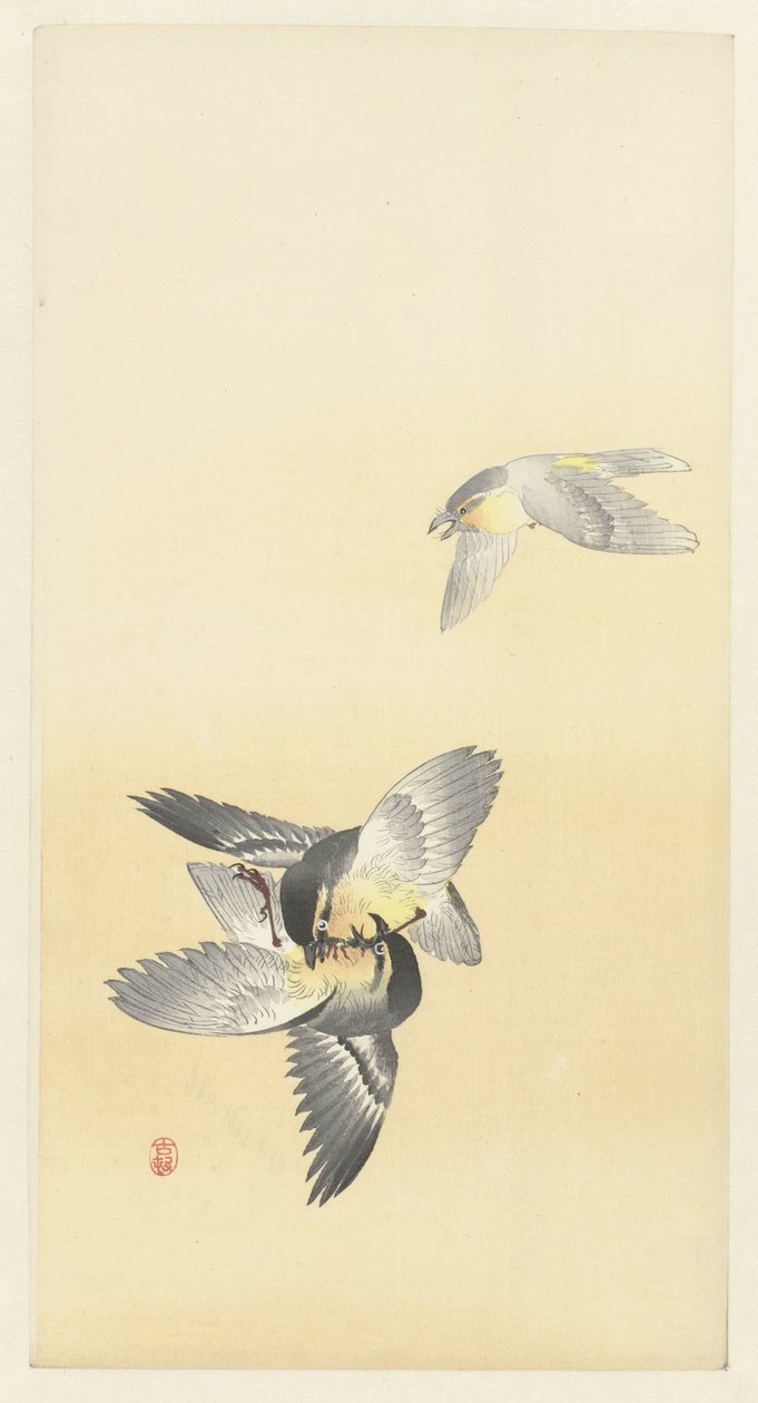 Två stridsfåglar av Ohara Koson