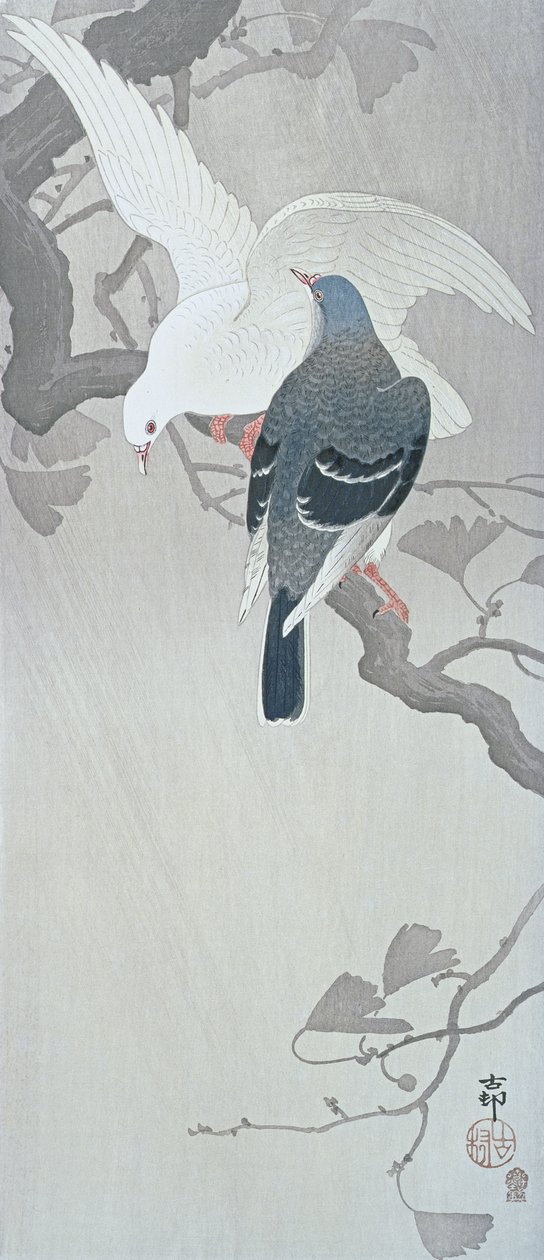 Två duvor i regnet på en gren av ett ginkgoträd av Ohara Koson