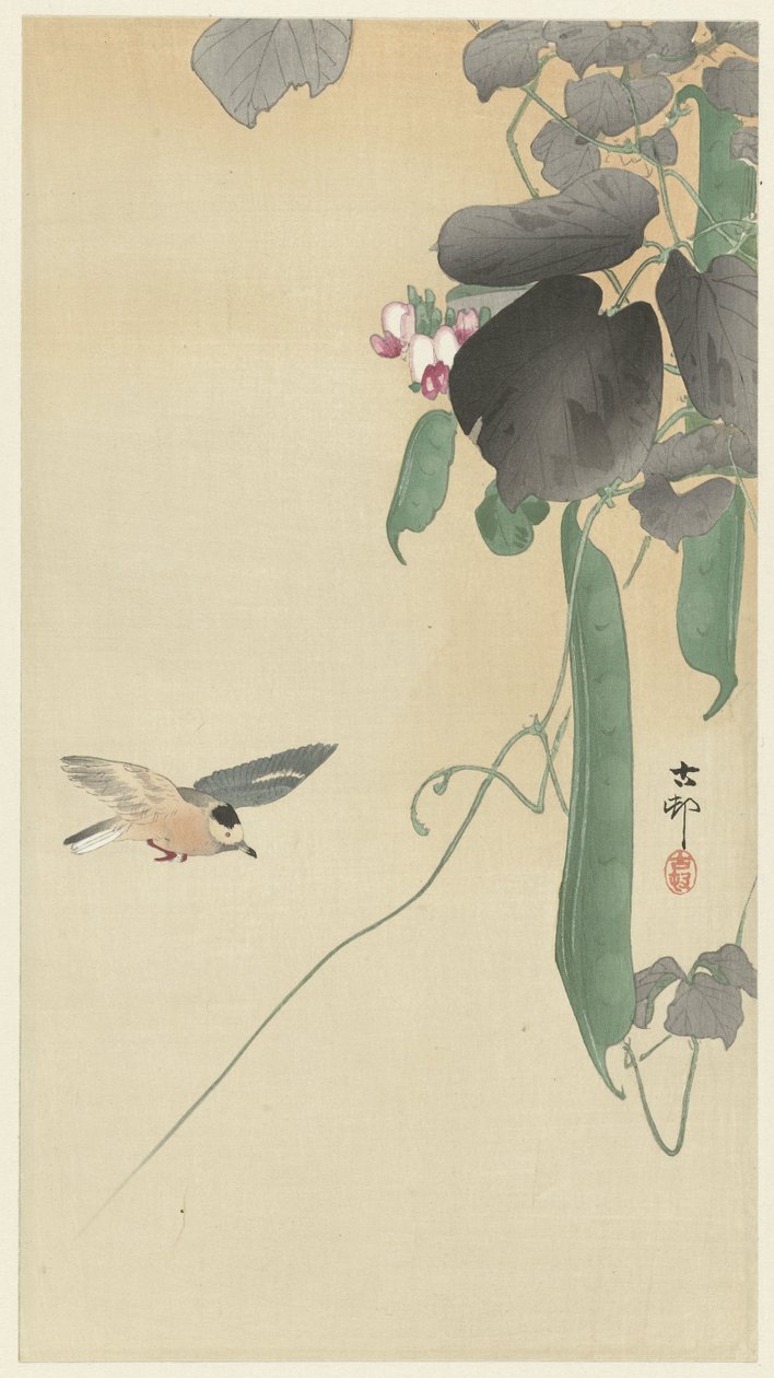 Fågel på blommande bönväxt av Ohara Koson