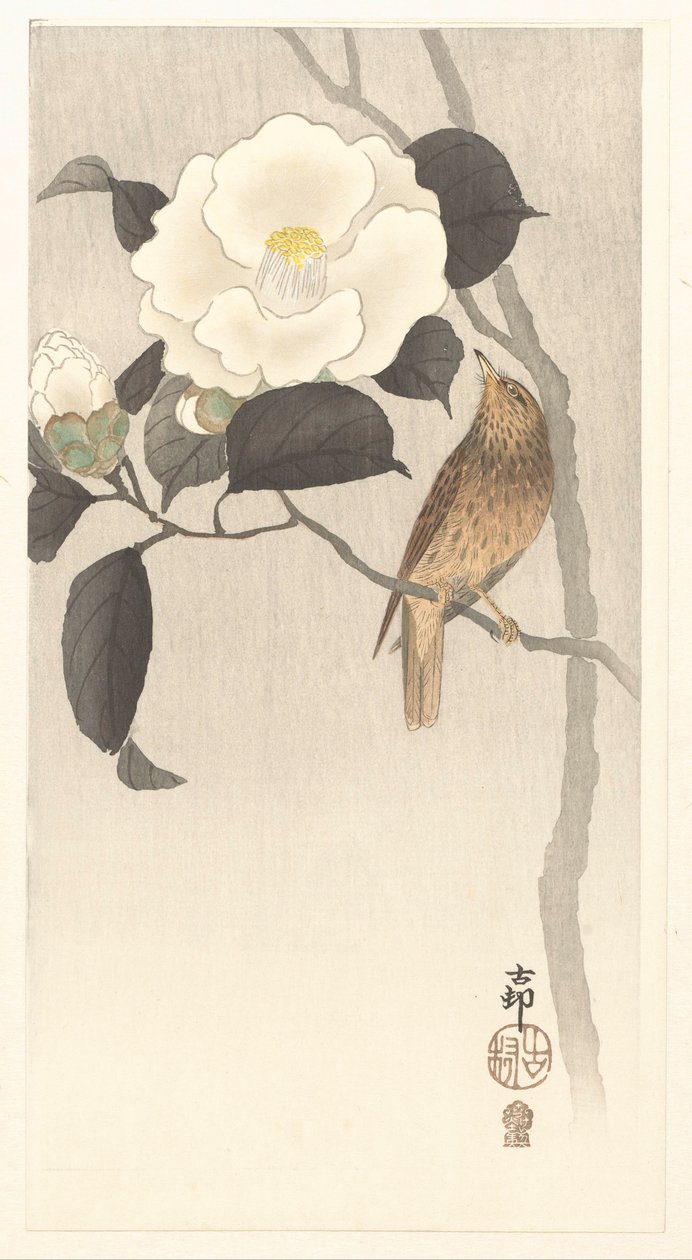 Sångfågel och blommande kamelia av Ohara Koson