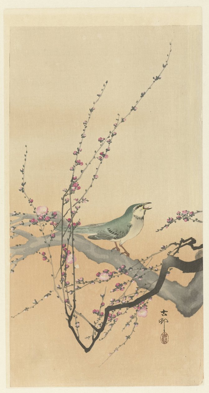 Sångfågel och plommon blommar. av Ohara Koson
