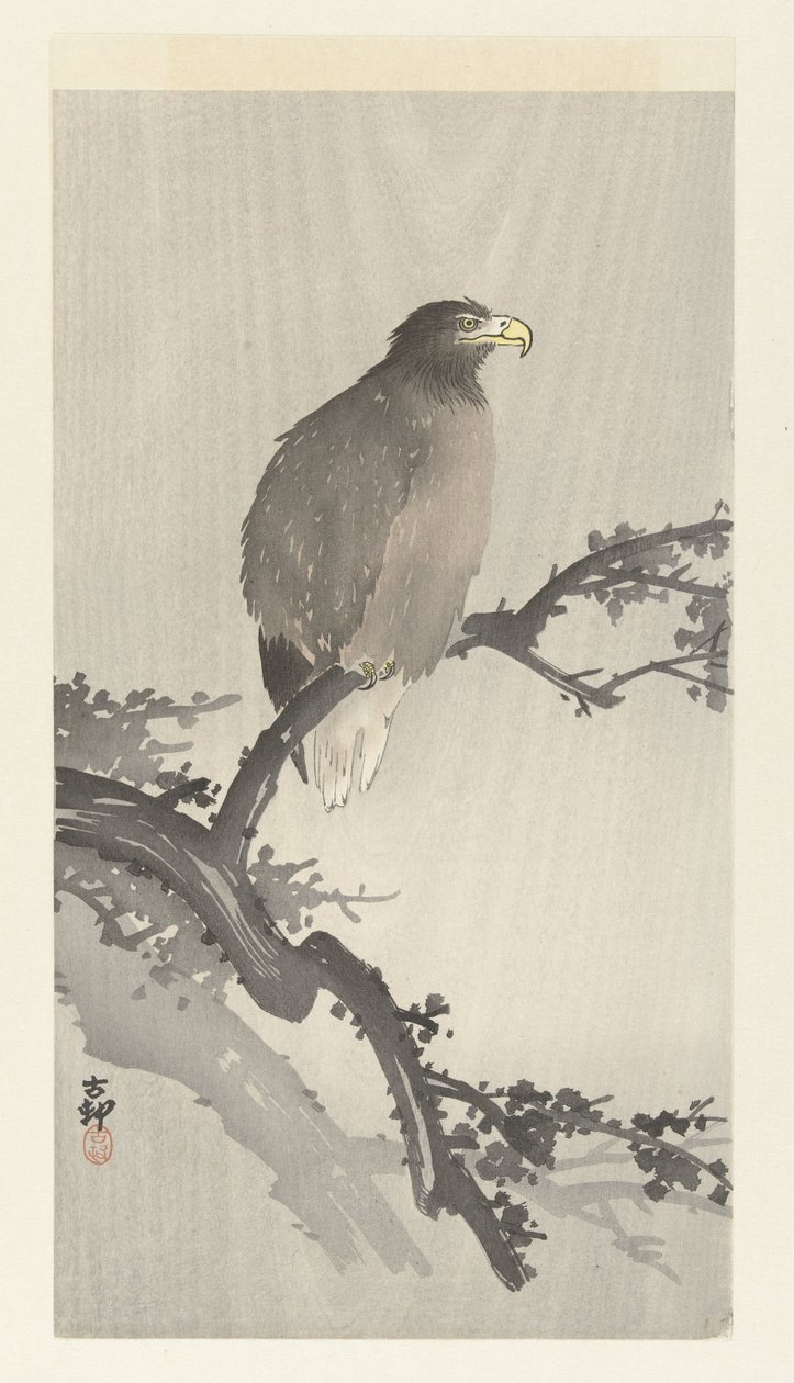 Vit skallig örn på gren av Ohara Koson