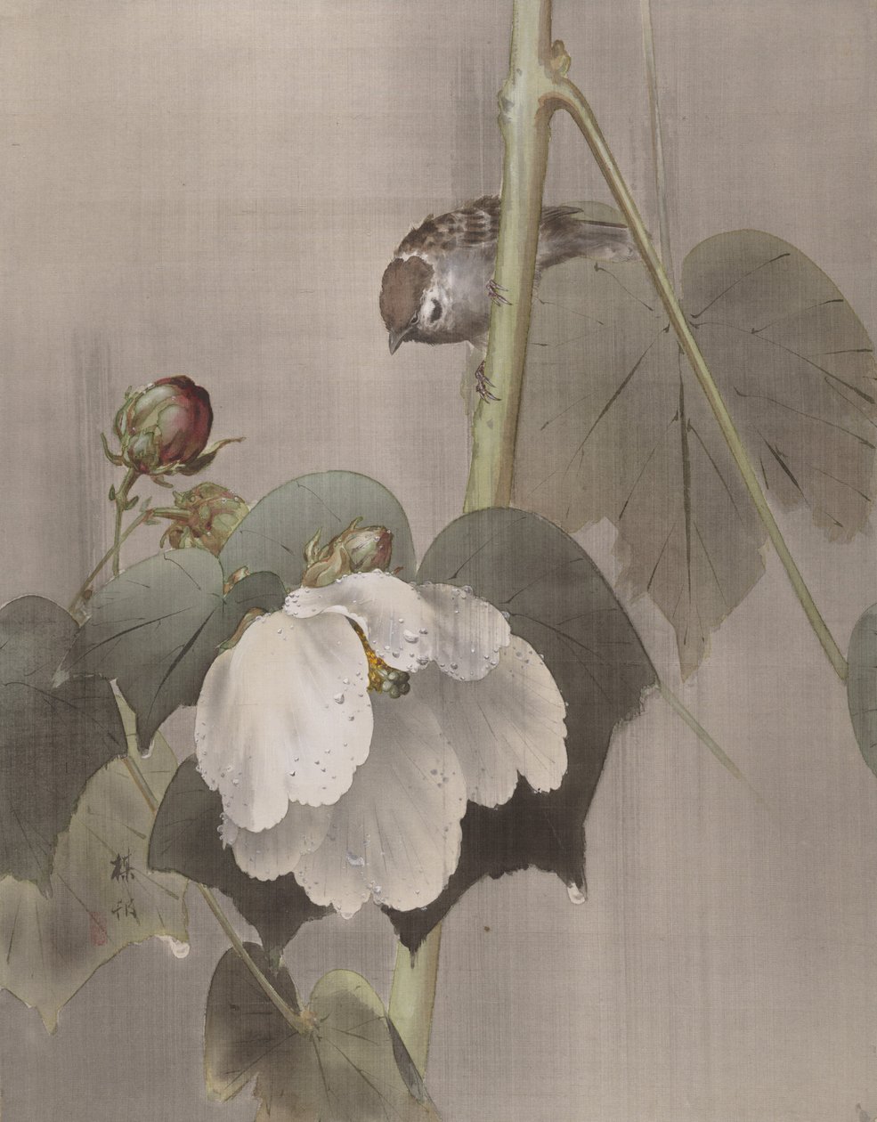 Cotton Rose Mallows in the Rain, ca. 1891-92. av Okada Baison
