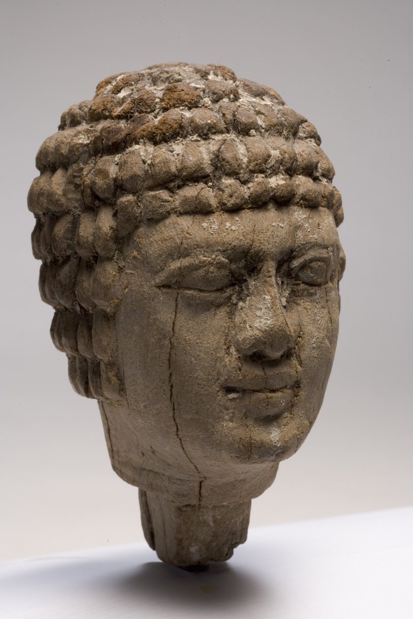 Huvud på en man (trä) (se även 249003-5) av Old Kingdom Egyptian