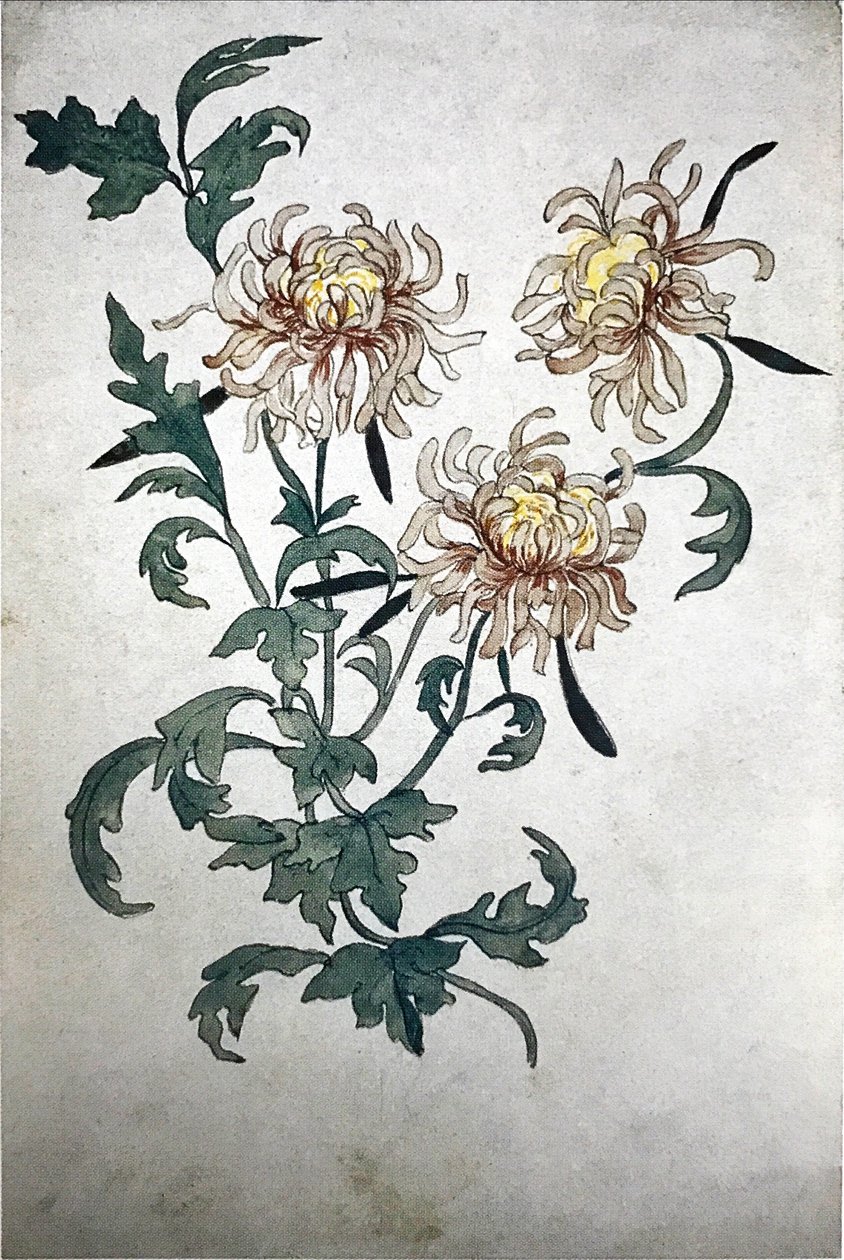  Flowers  av Olga Rozanova