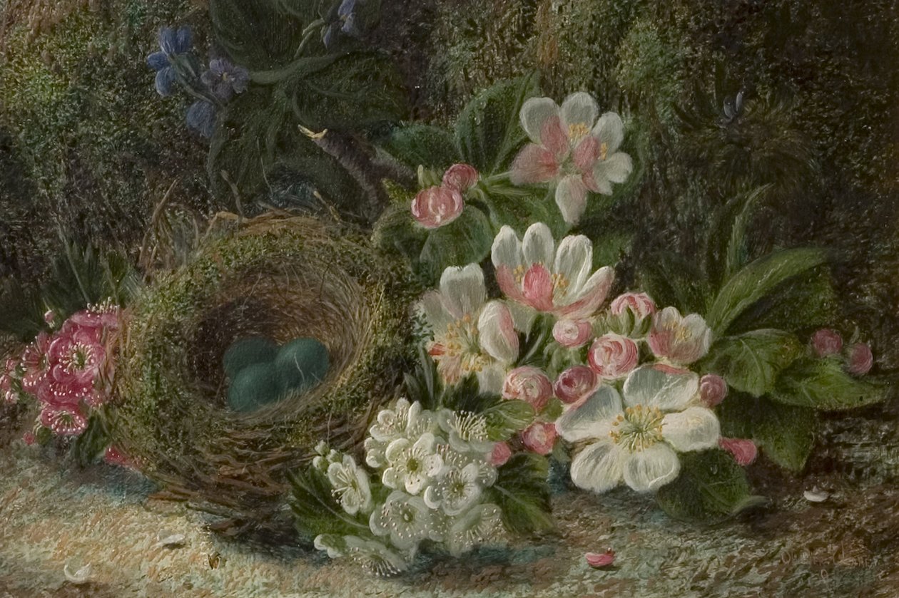 Fågelbo med äpple och hagtorn, 1893 av Oliver Clare