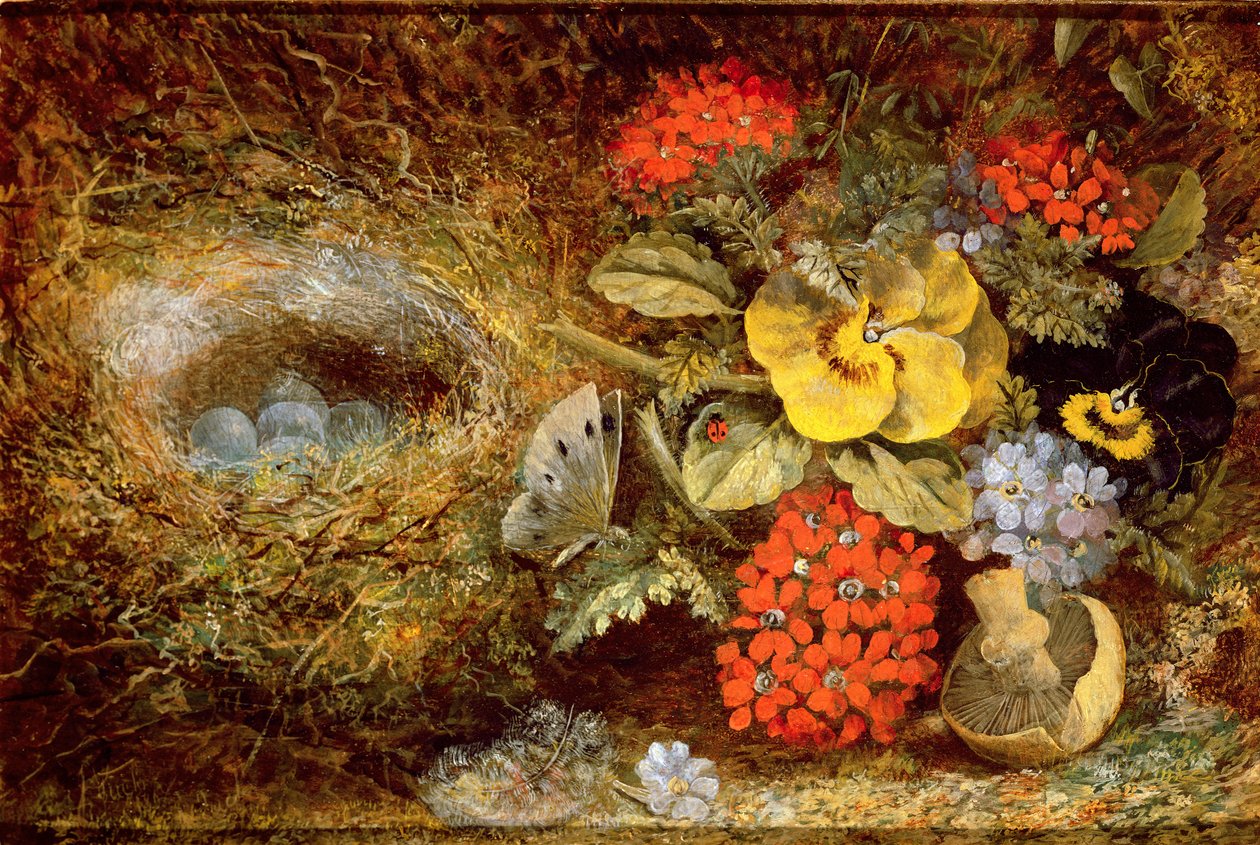 Blommor och fågelbo med fjäril och svamp av Oliver Clare