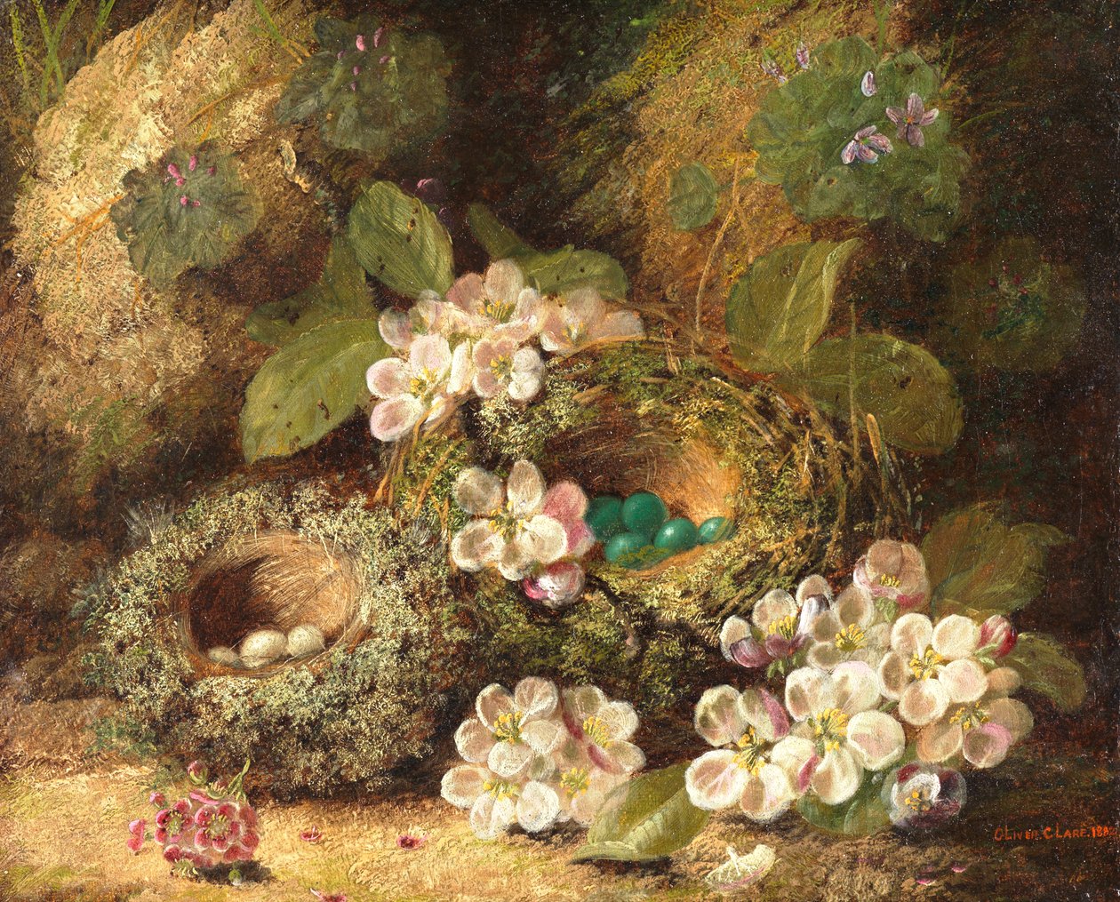 Primrosor och fågelbon på en mossig bank, 1882 av Oliver Clare