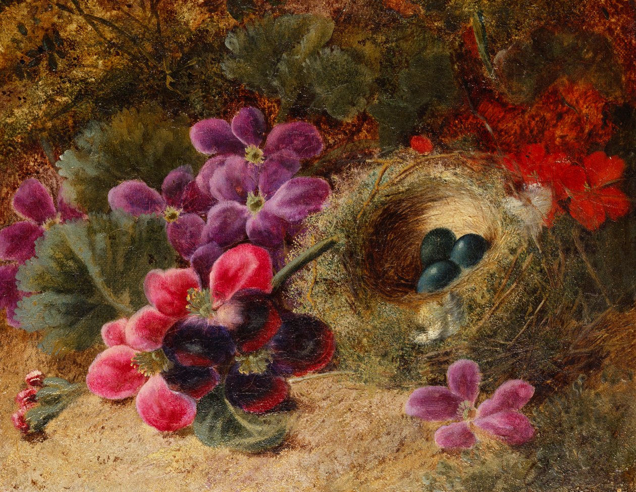 Ett fågelbo och pelargoner av Oliver Clare