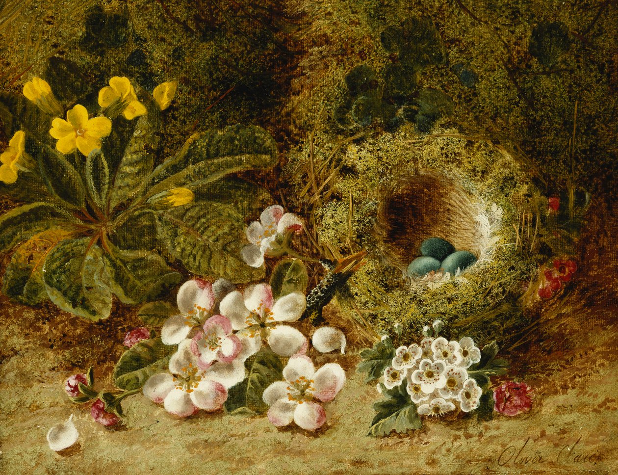Apple Blossoms, ett primula och fågelbo på en mossig bank, av Oliver Clare