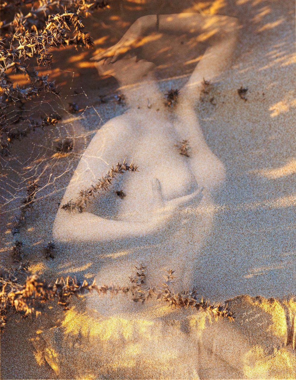 Nudo su sabbia, 2019 (digital blandteknik) av Olivia Gozzano