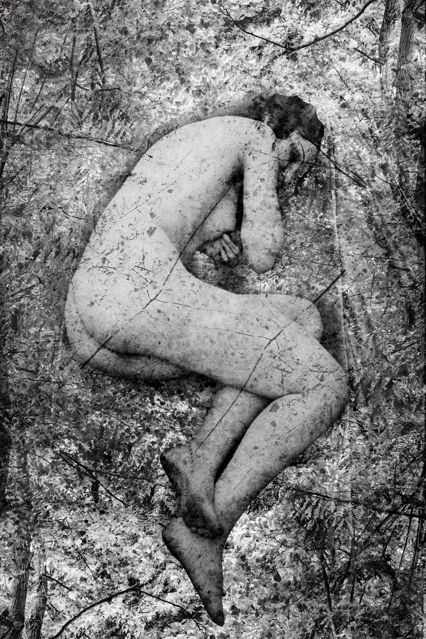 Seme, 2024 (digital mixedmedia) av Olivia Gozzano