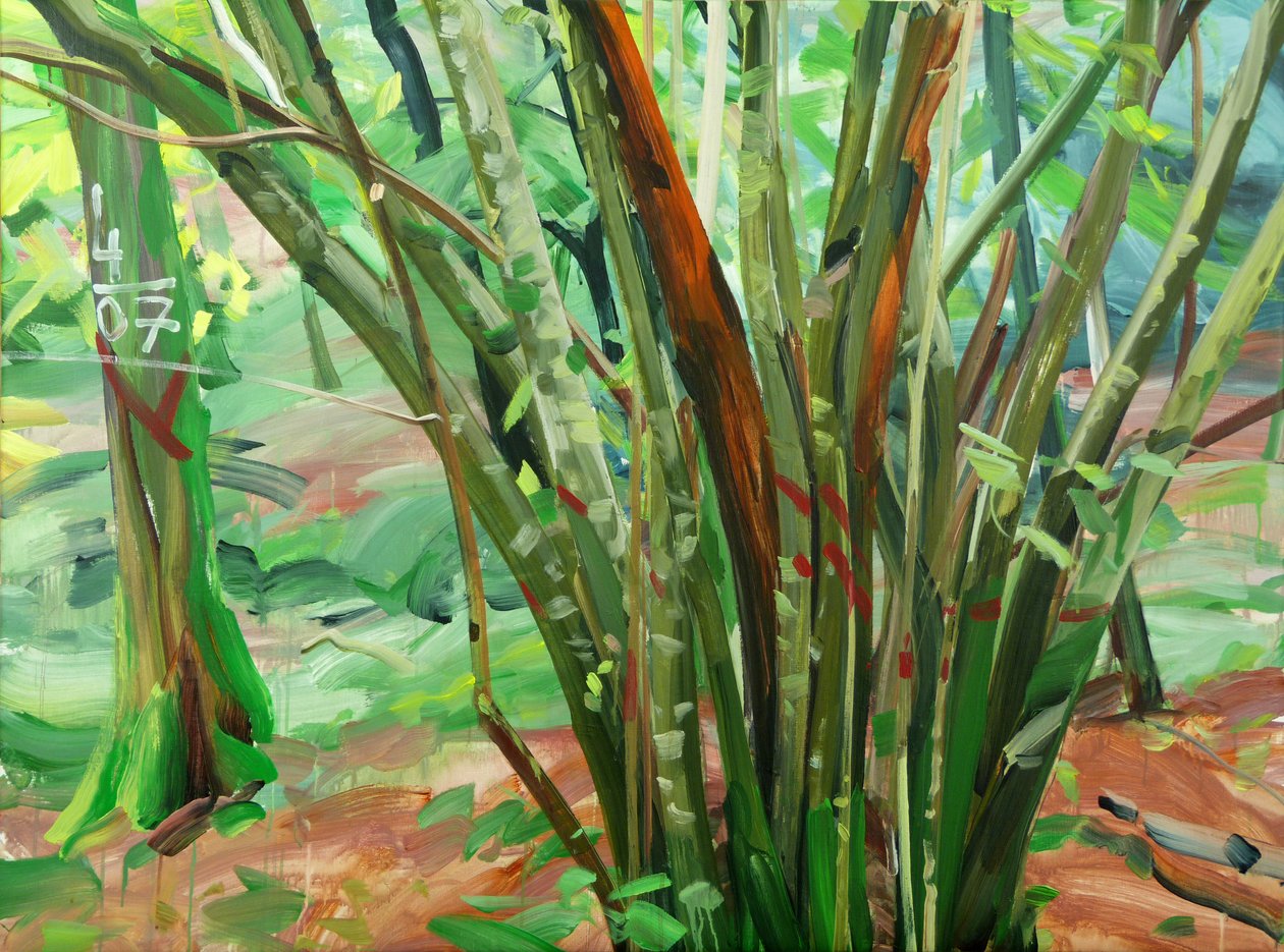 Forest 8 le-9-janvier-2015 ,2015 (akryl på duk) av Olivier Morel