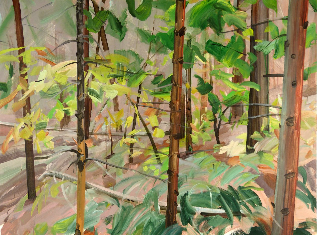 Forest 9,2015 (akryl på duk) av Olivier Morel