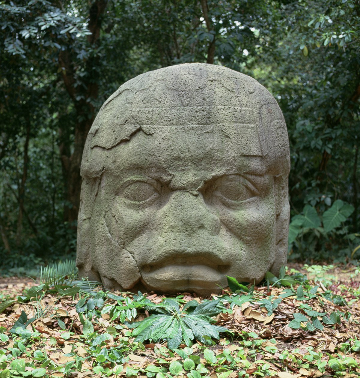 Colossal Head 4, Pre-Classic Period av Olmec