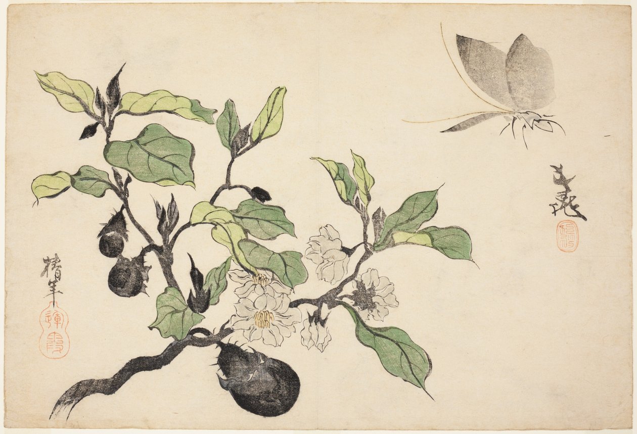 Aubergine med frukt och blommor av Onishi Chinnen